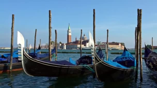 Venice Italy September 2018 Beautiful View Traditional Gondolas Moored San — Stock Video