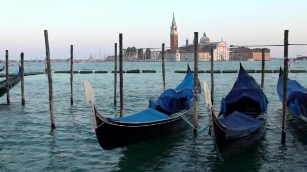 Slow Motion Vacker Utsikt Över Traditionella Gondolas Förtöjd San Marco — Stockvideo