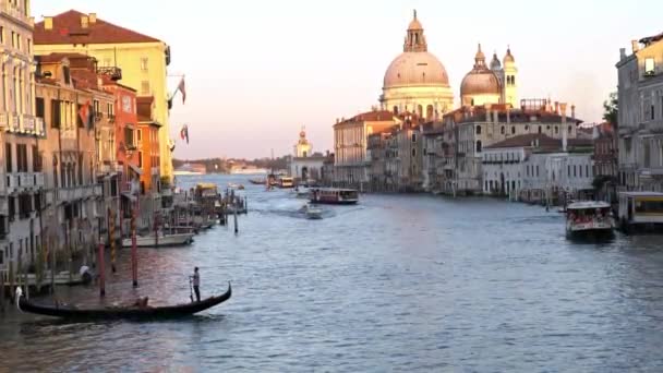 Venedig Italien September 2018 Schöne Aussicht Auf Die Basilika Santa — Stockvideo