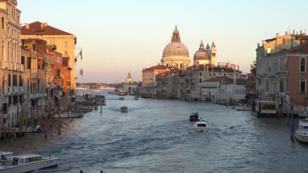 Venetië Italië September 2018 Prachtig Uitzicht Basiliek Santa Maria Della — Stockvideo