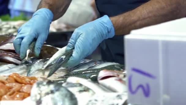 Slow Motion Venedikli Balıkçılar Tezgahlarını Geleneksel Rialto Pazarında Çeşitli Taze — Stok video