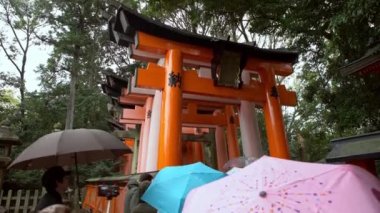 Kyoto, Japonya-14 Nisan 2019: 4K, Turist, ünlü Fushimi Inari-Taisha türbesinde yağmurlu bir günde güzel kırmızı tori kapısını ziyaret eder. Şemsiyeli insanlar dağda 1000 'den fazla torii ile bir shinto tapınağına doğru yürüyorlar.