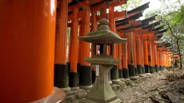 4K, Kyoto 'daki ünlü Fushimi Inari-Taisha tapınağındaki Güzel Kırmızı Tori Kapısı. 1000 torii ile dağ boyunca Shinto tapınağına giden yol. Geleneksel Japon mimarisi olan Japon Sığınağı.