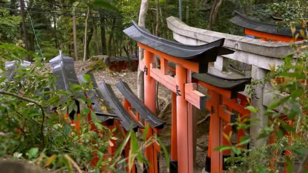 Hermosa Puerta Roja Tori Famoso Santuario Fushimi Inari Taisha Kyoto — Vídeos de Stock