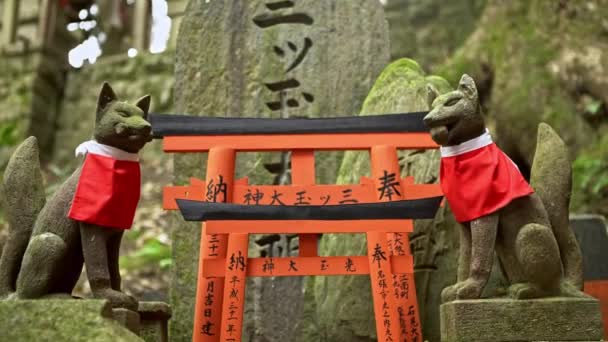 Kioto Japón Abril 2019 Kitsune Estatua Zorro Japonés Con Delantal — Vídeos de Stock