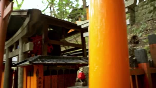 Kyoto Japonya Nisan 2019 Kyoto Yakınlarındaki Ünlü Fushimi Inari Taisha — Stok video