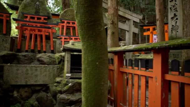 日本吉 Nippon Kichi伏見稲荷大社 ふしみいなりたいしゃ 京都府京都市にある神社である 日本の聖域は 願いが叶ったときに名前を書いた赤い鳥居が建てられました — ストック動画