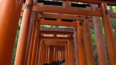 4K, Kyoto 'daki ünlü Fushimi Inari-Taisha tapınağındaki Güzel Kırmızı Tori Kapısı. 1000 torii ile dağ boyunca Shinto tapınağına giden yol. Geleneksel Japon mimarisi olan Japon Sığınağı.