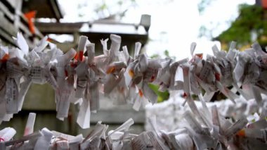 4K, Kyoto 'daki ünlü Fushimi Inari Taisha tapınağında kötü talihli Omikuji gazetesi. Japon tapınağındaki şanslı kağıtları kapatın.