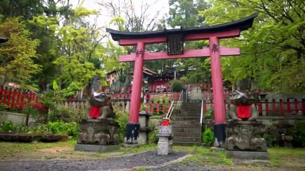 在抚顺寺的出口处 有一尊镶有红色围裙的幸运青蛙石像的寿郎神龛 富库Kaeru的意思是回或回日本 — 图库视频影像