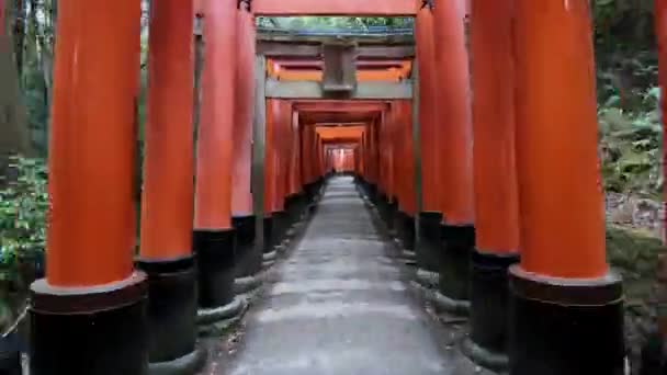 Timelapse Hermosa Puerta Roja Tori Famoso Santuario Fushimi Inari Taisha — Vídeos de Stock