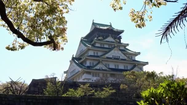 Torre Principal Del Castillo Japonés Osaka Detrás Pared Roca Monumentos — Vídeos de Stock