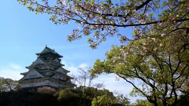 Toren Van Osaka Japans Kasteel Achter Rotswand Met Sakura Bloesem — Stockvideo