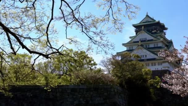 Torre Osaka Castillo Japonés Detrás Pared Roca Con Flor Sakura — Vídeos de Stock
