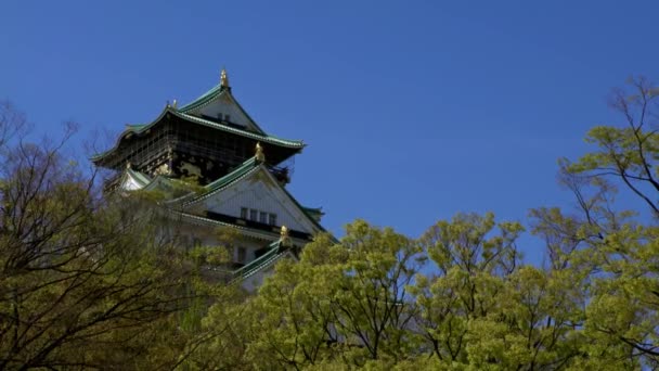 Antiguo Castillo Japonés Osaka Como Símbolo Región Kansai Japón Lugar — Vídeo de stock