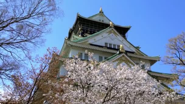 Японський Древній Замок Осака Квіткою Сакури Символ Регіоні Кансай Японія — стокове відео