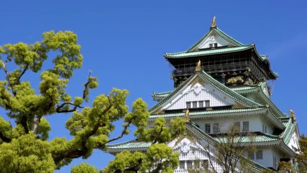 Torre Principal Del Castillo Japonés Osaka Detrás Pared Roca Monumentos — Vídeos de Stock