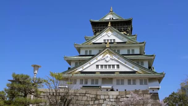 Японский Древний Замок Осака Символ Регионе Кансай Японии Знаменитое Место — стоковое видео