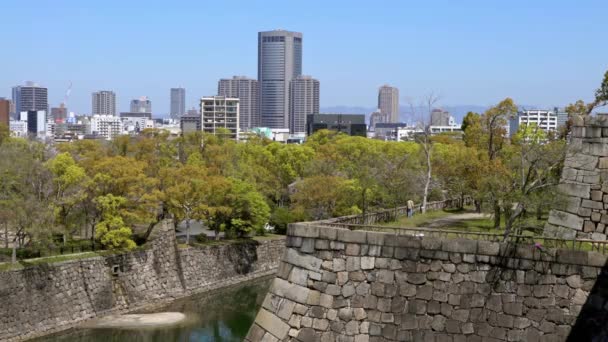 Nishinomaru Tuin Van Japanse Oude Osaka Kasteel Symbool Kansai Regio — Stockvideo