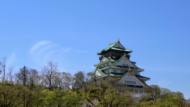 Torre Principal Del Castillo Japonés Osaka Detrás Pared Roca Monumentos — Vídeo de stock