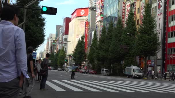 Tokio Japonsko Září 2017 Dav Lidí Přecházejících Ulici Tokiu Akihabara — Stock video