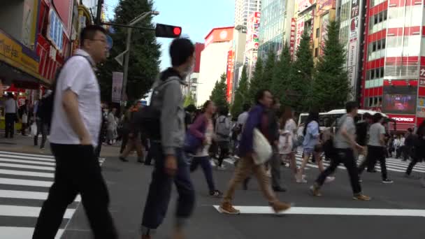 日本东京 2017年9月30日 4K人群穿过东京秋叶原地区的街道 该地区以日本的电子和动漫商店闻名 亚洲人行横道 日本购物 — 图库视频影像