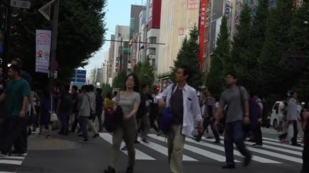 日本东京 2017年9月30日 4K人群穿过东京秋叶原地区的街道 该地区以日本的电子和动漫商店闻名 亚洲人行横道 日本购物 — 图库视频影像