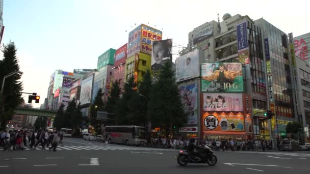 日本东京 2017年9月30日 4K人群穿过东京秋叶原地区的街道 该地区以日本的电子和动漫商店闻名 亚洲人行横道 日本购物 — 图库视频影像