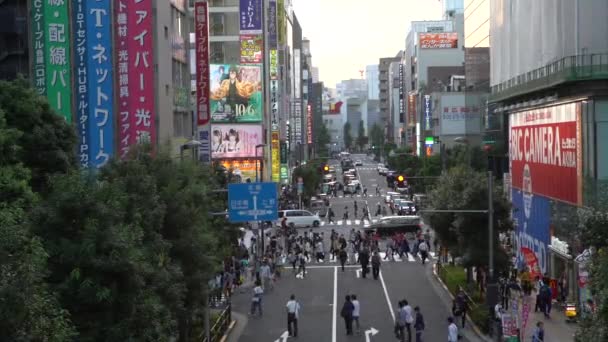 Tokio Japan September 2017 Menschenmassen Überqueren Die Straße Tokioter Akihabara — Stockvideo