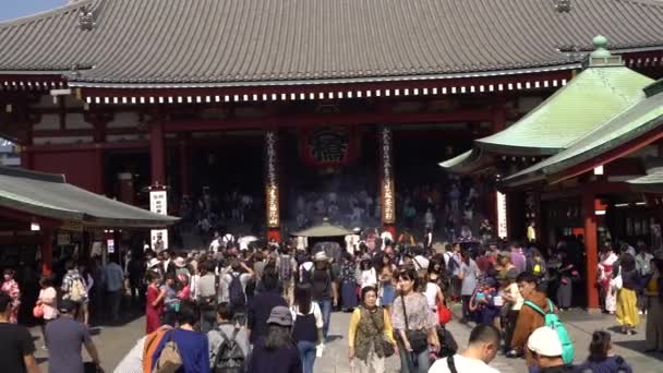 Tokyo Japon Octobre 2017 Foule Personnes Asiatiques Dans Célèbre Temple — Video