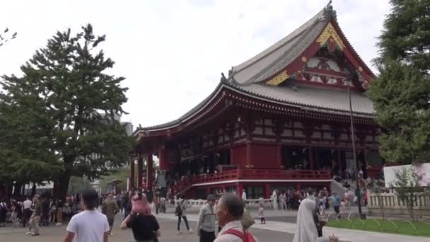 Tokio Japonsko Říjen 2017 Dav Asijských Lidí Slavném Starověkém Buddhistickém — Stock video