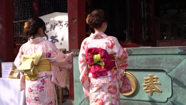 日本东京 2017年10月1日 4K年轻的日本艺妓在东京森索吉阿萨库萨神庙祈祷 并将硬币扔进盒子 穿着日本传统服装的人参观神道三加山神龛 日本丹 — 图库视频影像