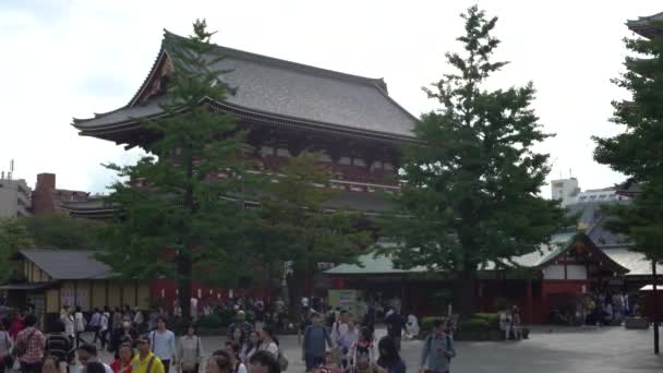 Токио Япония Октября 2017 Года Толпа Азиатских Людей Пересекающих Ворота — стоковое видео