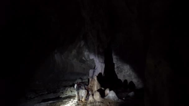 Grottformationer Inuti Den Vackra Naturliga Kalkstenen Dark Cave Malaysia Viktigaste — Stockvideo