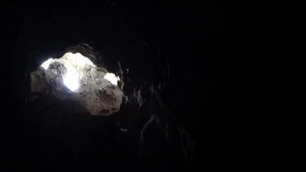 Létající Netopýr Paprsky Slunce Uvnitř Krásné Přírodní Vápencové Jeskyně Malajsii — Stock video