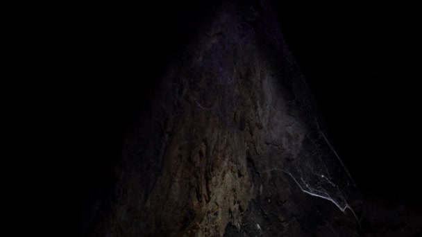 Mouvement lent de la grotte sombre avec la toile d'araignée antique dans la roche iluminée avec une lumière d'une lanterne. L'une des principales grottes situées dans la colline des grottes Batu à Kuala Lumpur. Dan ! 