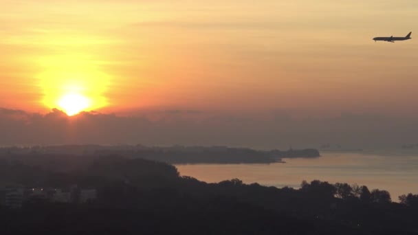 Flygfoto Över Östkusten Park Med Plan Som Flyger Solnedgången Singapore — Stockvideo