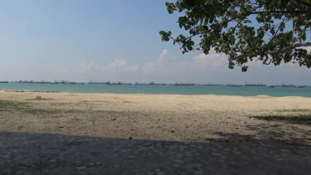 Singapura Abril 2015 Uma Árvore Praia Com Fundo Navios Carga — Vídeo de Stock