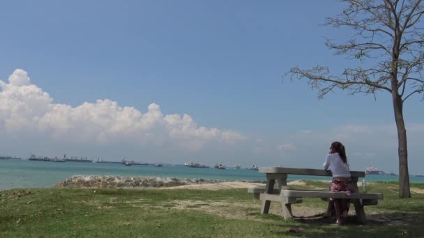 シンガポールの東海岸公園のテーブルに座っている若いアジアの女性 海から航海貨物船のコンテナの背景とビーチの近くに Dan — ストック動画