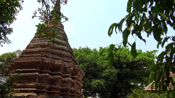 Massive Brick Centuries Old Chedi Park Green Trees Chaingmai Thailand — Stock Video