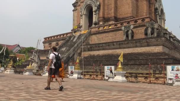 Chiang Mai Tailandia Abril 2016 Monjes Visitantes Budistas Caminando Por — Vídeo de stock