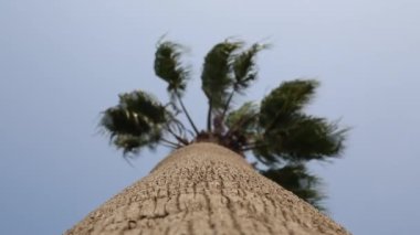 Tatil tatilinde mavi gökyüzü arka planının zirvesi.