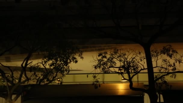 Прекрасный Вид Лес Деревьев Городском Ресторане Ночь Дан — стоковое видео