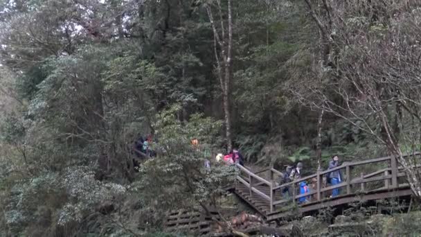 Turistler Ünlü Alishan Dağ Beldesindeki Trene Binmek Için Ahşap Merdivenlerden — Stok video