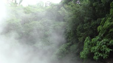 4K, Tayvan ağaçlarıyla dağdaki termal kaynaklı kaynar su. Taipei, Beitou 'da sıcak su birikintileri. Pond Flood Gayzer 'ın tepesinde buharlı çamur kaynıyor. Sülfür Kazanı - Dan
