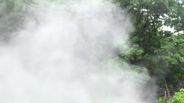 Bubbling Large Hot Spring Green Forest Taiwan Pools Hot Water — Stock Video