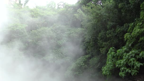 Bollente Acqua Calda Dalla Sorgente Termale Montagna Con Alberi Taiwan — Video Stock