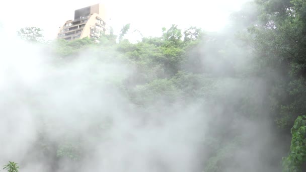 在台湾绿林中的一个大温泉里嗡嗡作响 台北北头市的一盆热水 蒸汽淤泥在池塘泄水间歇泉顶上沸腾 热泉中的硫大锅 — 图库视频影像