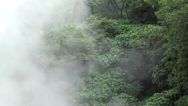 Bublání Velkém Horkém Prameni Zeleném Lese Tchaj Wanu Bazény Horké — Stock video
