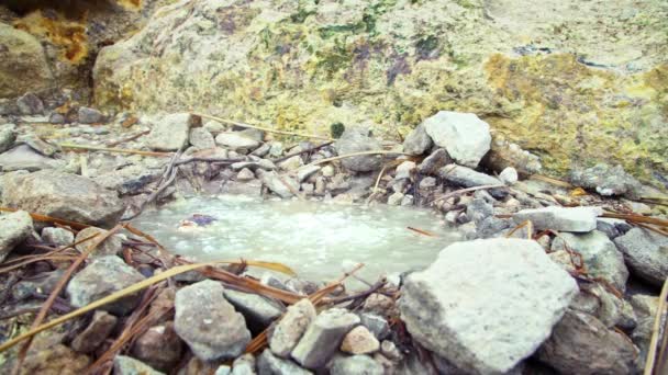 Agua Caliente Hirviendo Del Manantial Termal Parque Nacional Las Montañas — Vídeo de stock